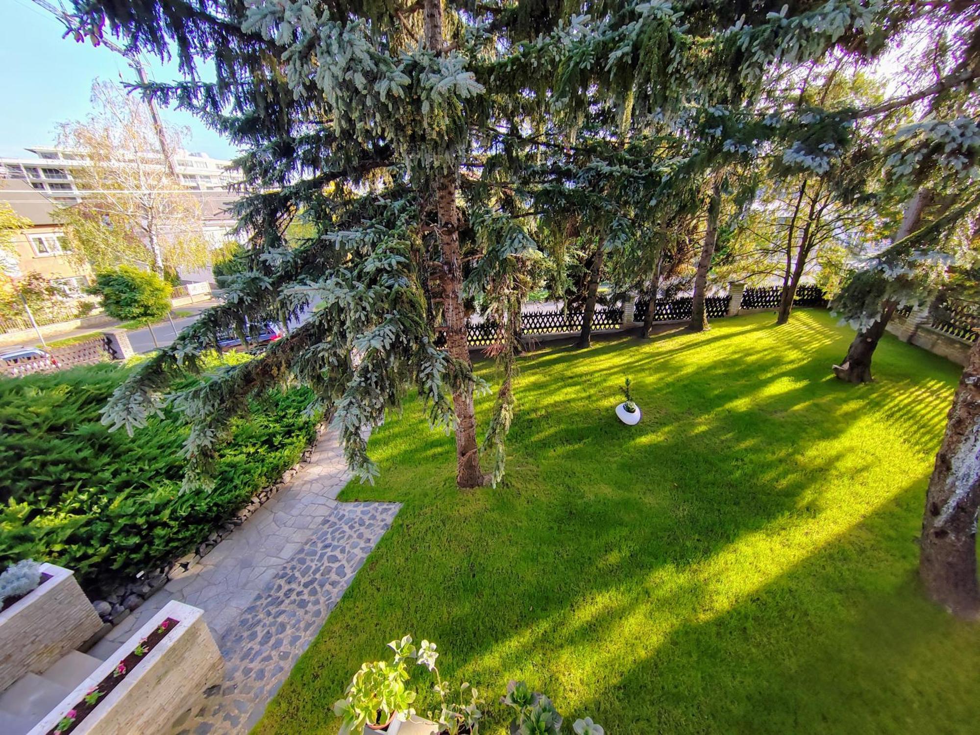 Heviz,Dr Strecker Villa Экстерьер фото